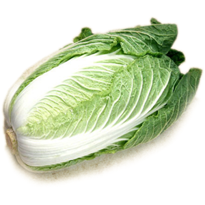 Cabbage PNG image-8808